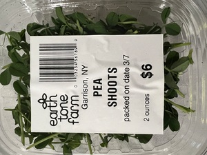 Pea Shoots