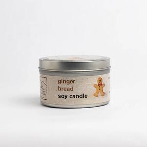 HVSC - Christmas Tree Soy Candle