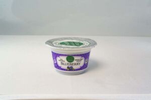 Hudson Valley Fresh Blueberry Yogurt 6 oz. cup