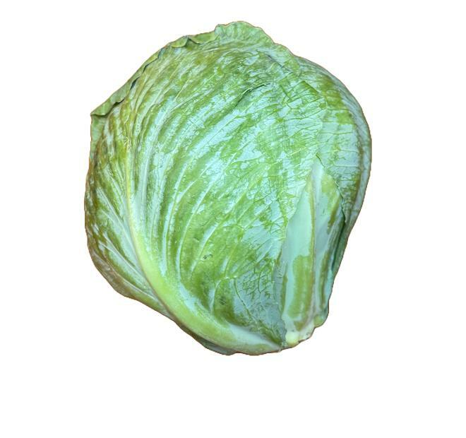 Local Cabbage - one head