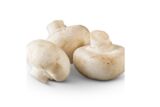 Local White Button Mushrooms 1 Pint