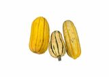 Local Organic Delicata Squash - 2Lbs