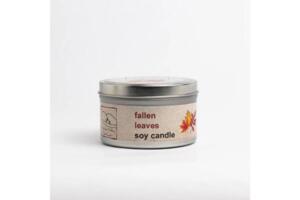 HVSC - Fallen Leaves Soy Candle