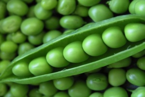 Hudson Harvest Frozen Green Peas 10oz