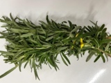 Local Organic Rosemary