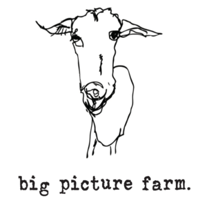 Big Picture Farm